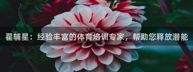 尊龙登录地址：翟辅星：经验丰富的体育培训专家，帮助您