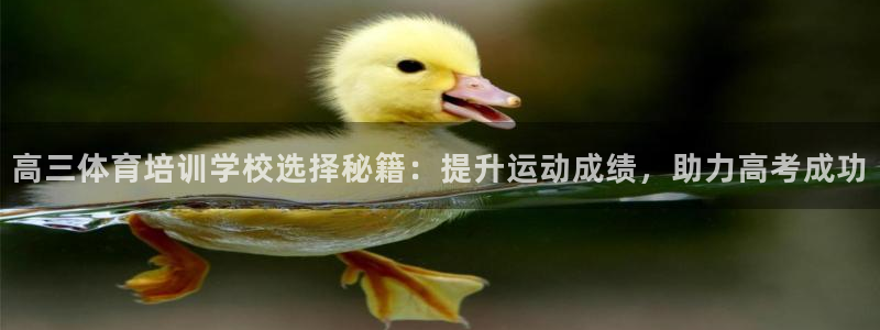 尊龙z6平台：高三体育培训学校选择秘籍：提升运动成绩