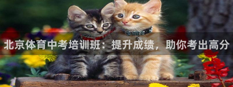 尊龙集团有限公司是国企吗：北京体育中考培训班：提升成