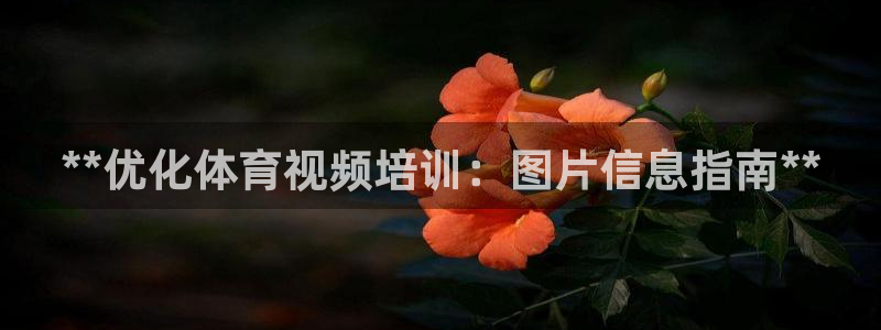 尊龙凯时开发：**优化体育视频培训：图片信息指南**
