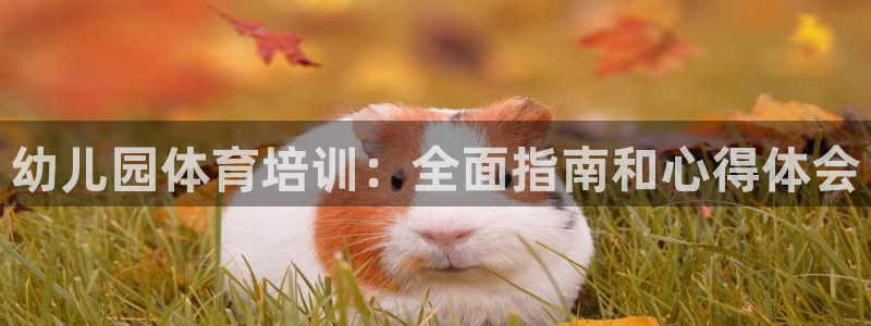 尊龙人生就是博ag旗舰厅：幼儿园体育培训：全面指南和