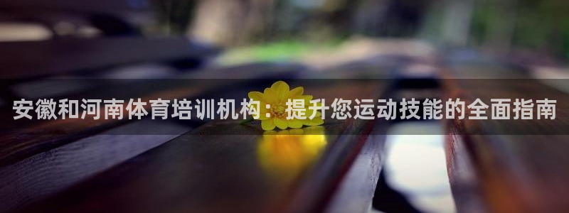 尊龙凯时有假么：安徽和河南体育培训机构：提升您运动技
