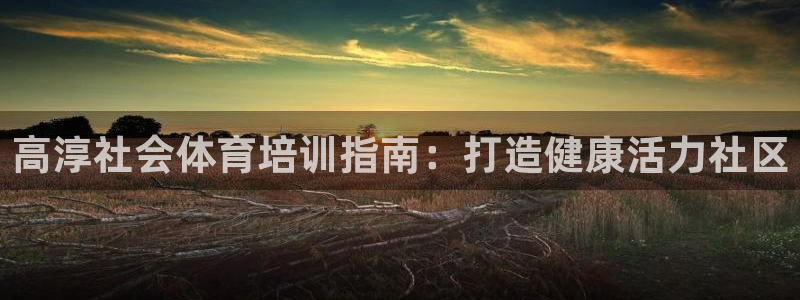 尊龙z6：高淳社会体育培训指南：打造健康活力社区