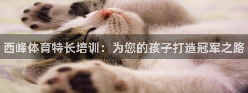 尊龙凯时可以提现吗：西峰体育特长培训：为您的孩子打造