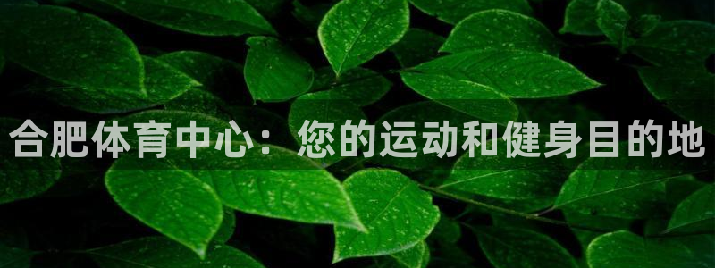 Z6尊龙官网入口：合肥体育中心：您的运动和健身目的地