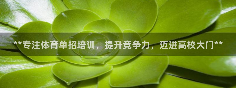 尊龙凯时网娱乐官网：**专注体育单招培训，提升竞争力