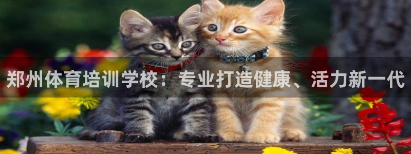 尊龙凯时人生就是搏!官网：郑州体育培训学校：专业打造