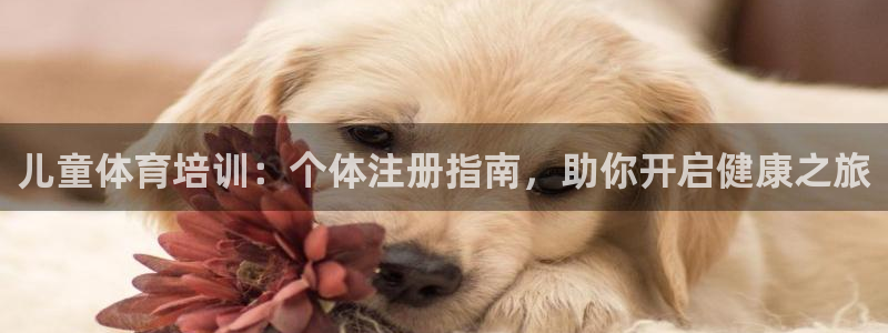 尊龙凯时平台还是万博好：儿童体育培训：个体注册指南，