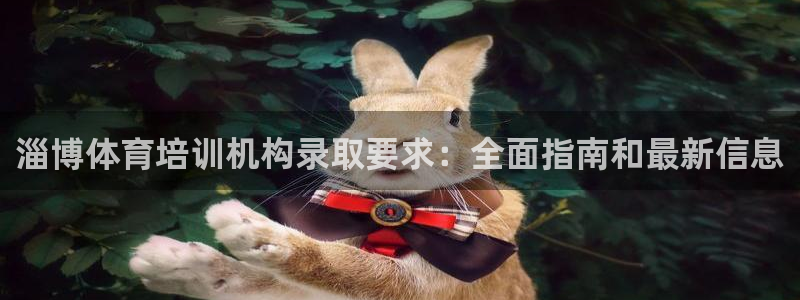 尊龙凯时产品系列：淄博体育培训机构录取要求：全面指南