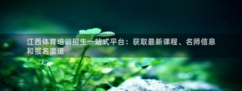 尊龙官网手机版下载：江西体育培训招生一站式平台：获取