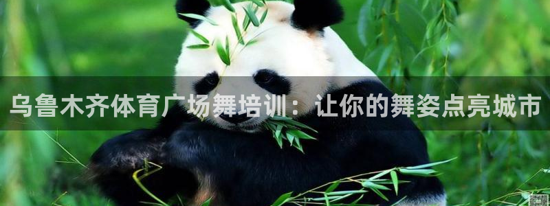 尊龙集团有限公司是国企吗：乌鲁木齐体育广场舞培训：让