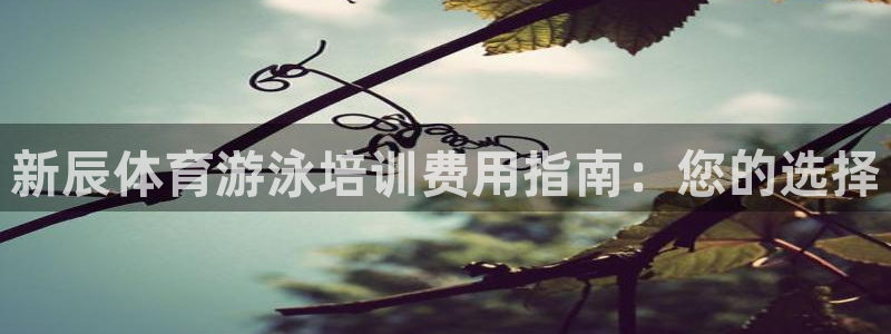 尊龙现金一下指导AG发财网：新辰体育游泳培训费用指南：您的选