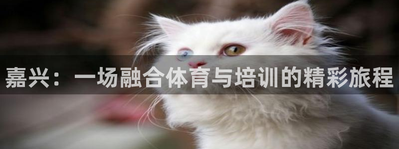 尊龙eight is enough