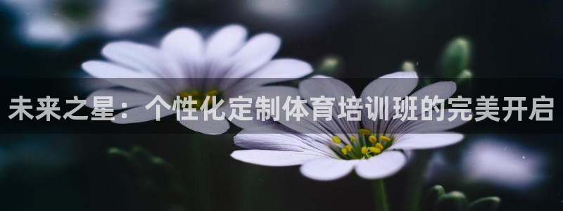 最新凯时官网网址