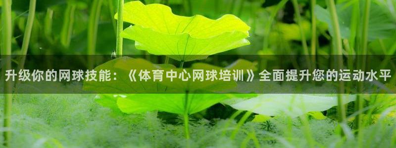 凯时登录首页,凯时K66