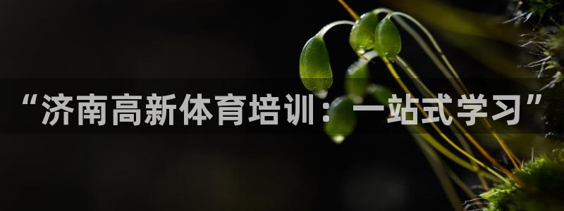 凯时k8娱乐唯一官网