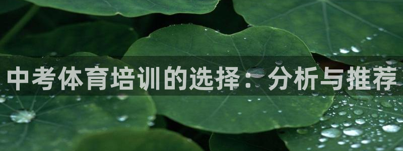 尊龙现金娱乐 下载