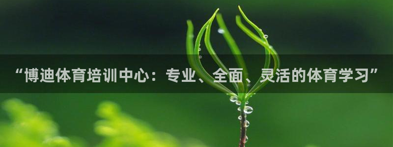 尊龙凯时产品种类