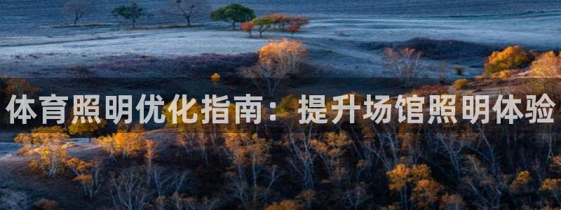 尊龙新版app首页：体育照明优化指南：提升场馆照明体验