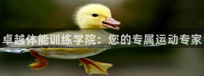 凯时国际网站域名
