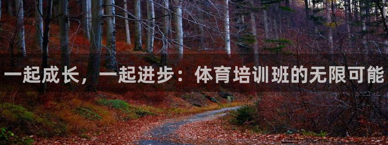 凯时ag旗舰厅网址是什么