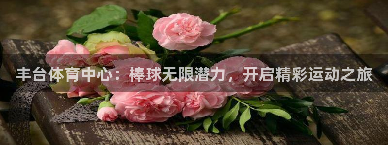 尊龙凯时电竞：丰台体育中心：棒球无限潜力，开启精彩运